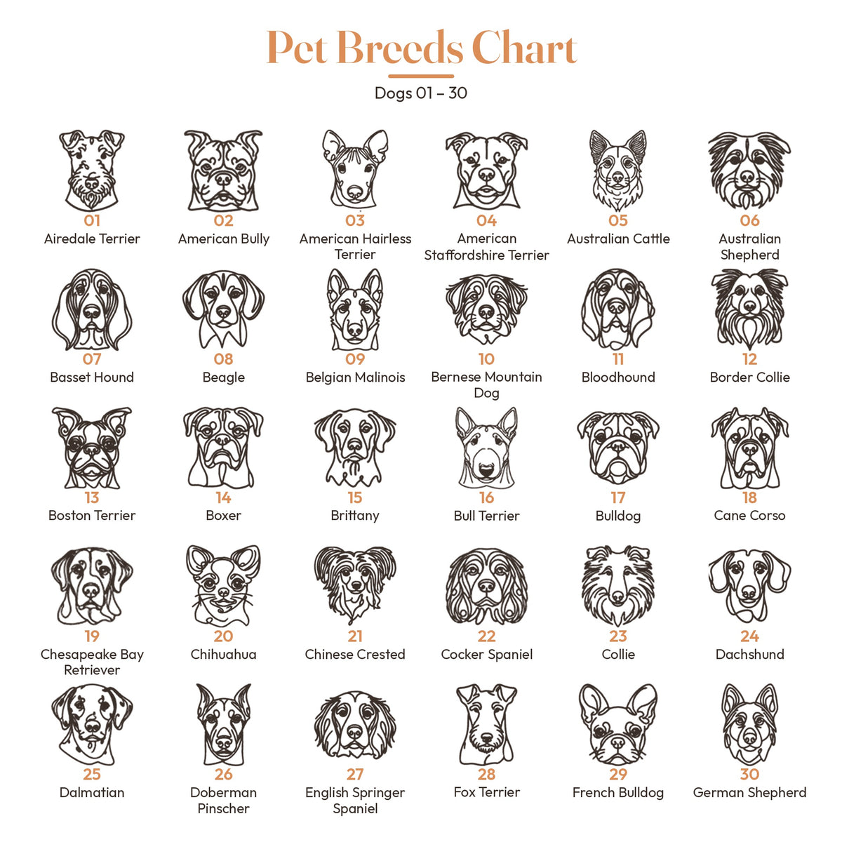Dog breed chart 1 to 30 for custom pet portrait embroidery