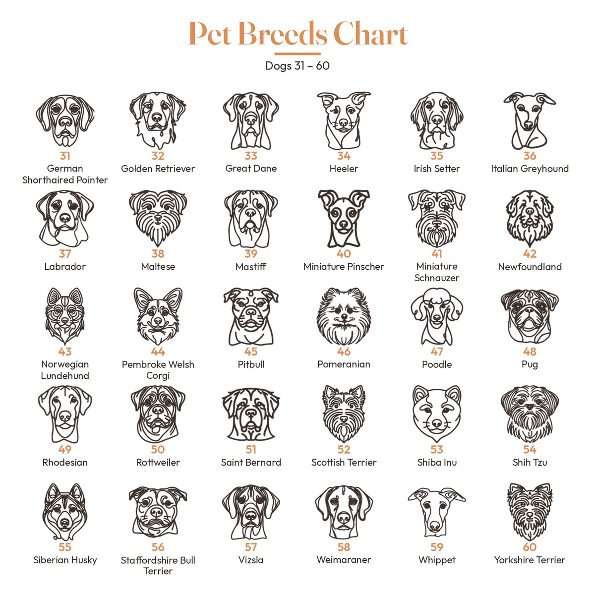 Dog breed chart 31 to 60 for custom pet portrait embroidery